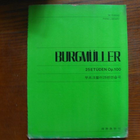 1980년 부르크뮐러25번연습곡 음악
