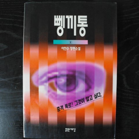 1994년 이진수장편소설 뼁끼통 1