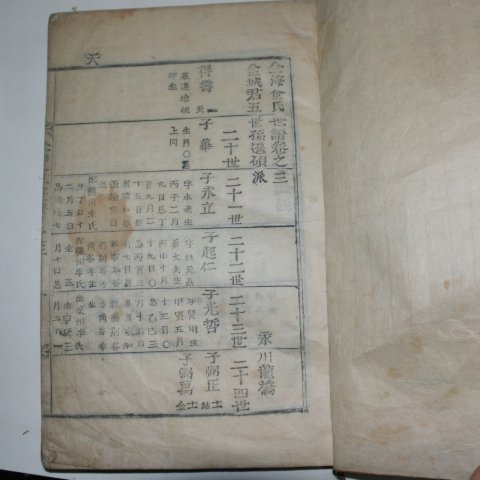 목활자본 김녕김씨세보(金寧金氏世譜) 2책
