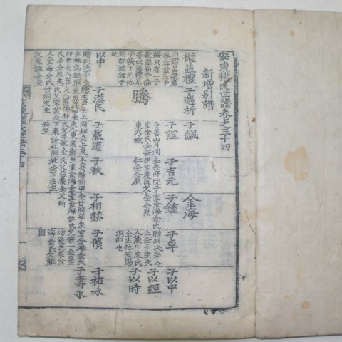 1794년(甲寅年) 목판본 안동권씨세보(安東權氏世譜)34책완질