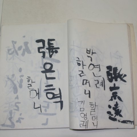 제1회 장진원(張眞源)전 방명록