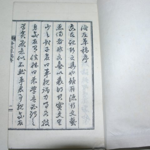 석판본 김홍기(金弘基) 낙좌초고(洛左草稿)권1,2 2책