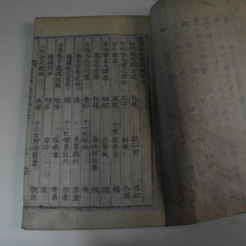 목활자본 성주이씨세보(星州李氏世譜) 19책