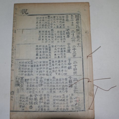 목활자본 순흥안씨족보(順興安氏族譜)권10,11 2책