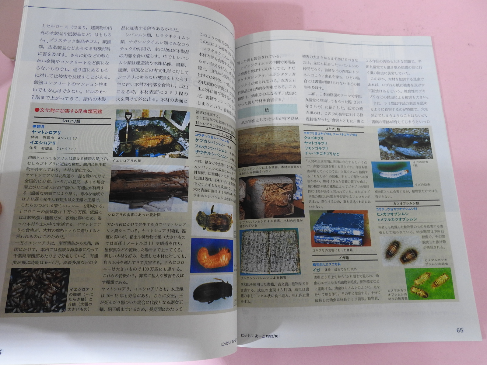 1993년 일본미술 잡지