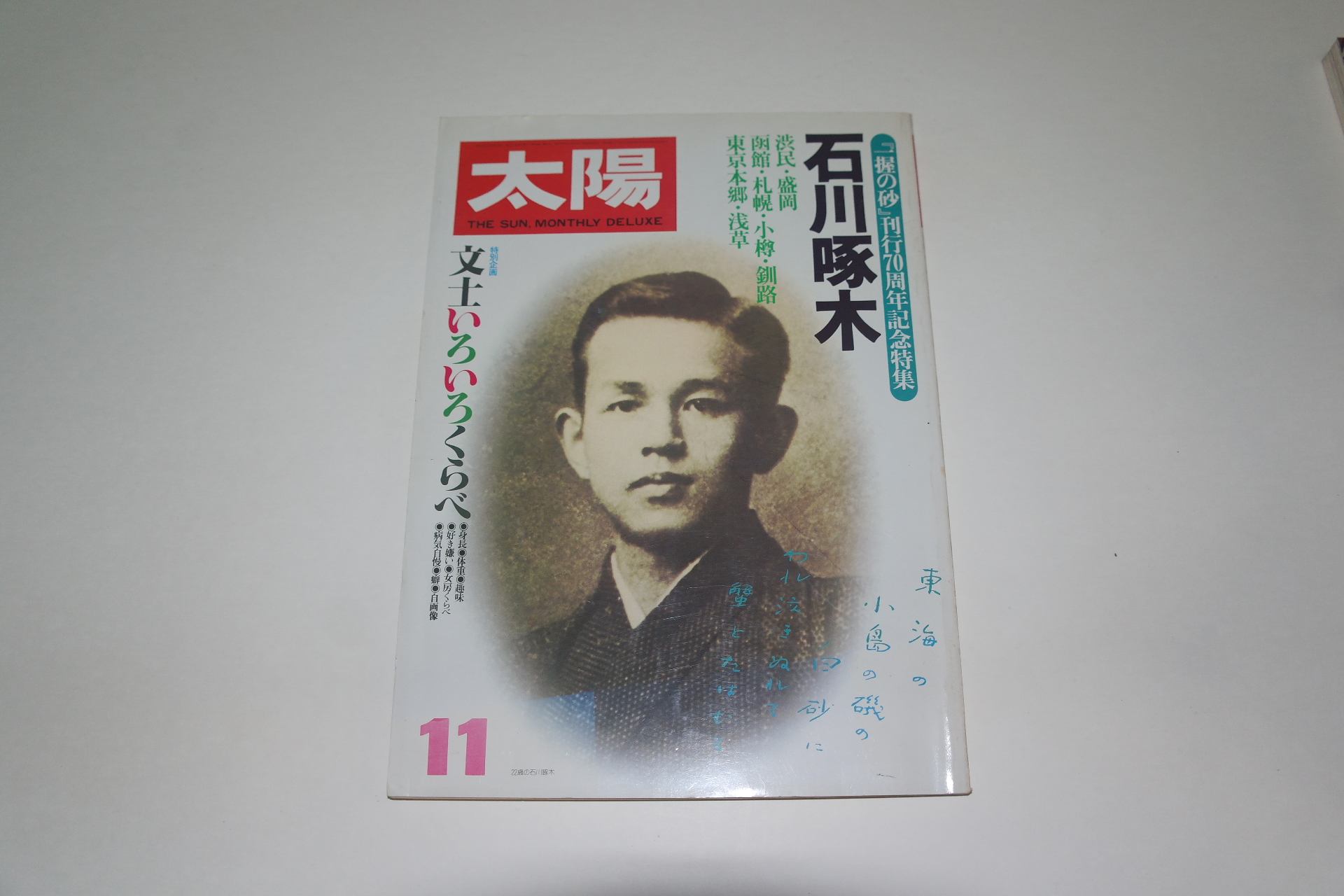 1980년 일본잡지 태양(太陽) 11월호