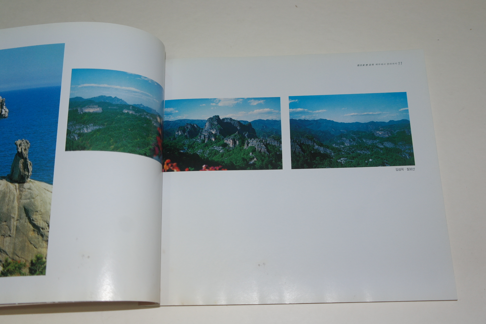 1998년 남북공동사진전 도록