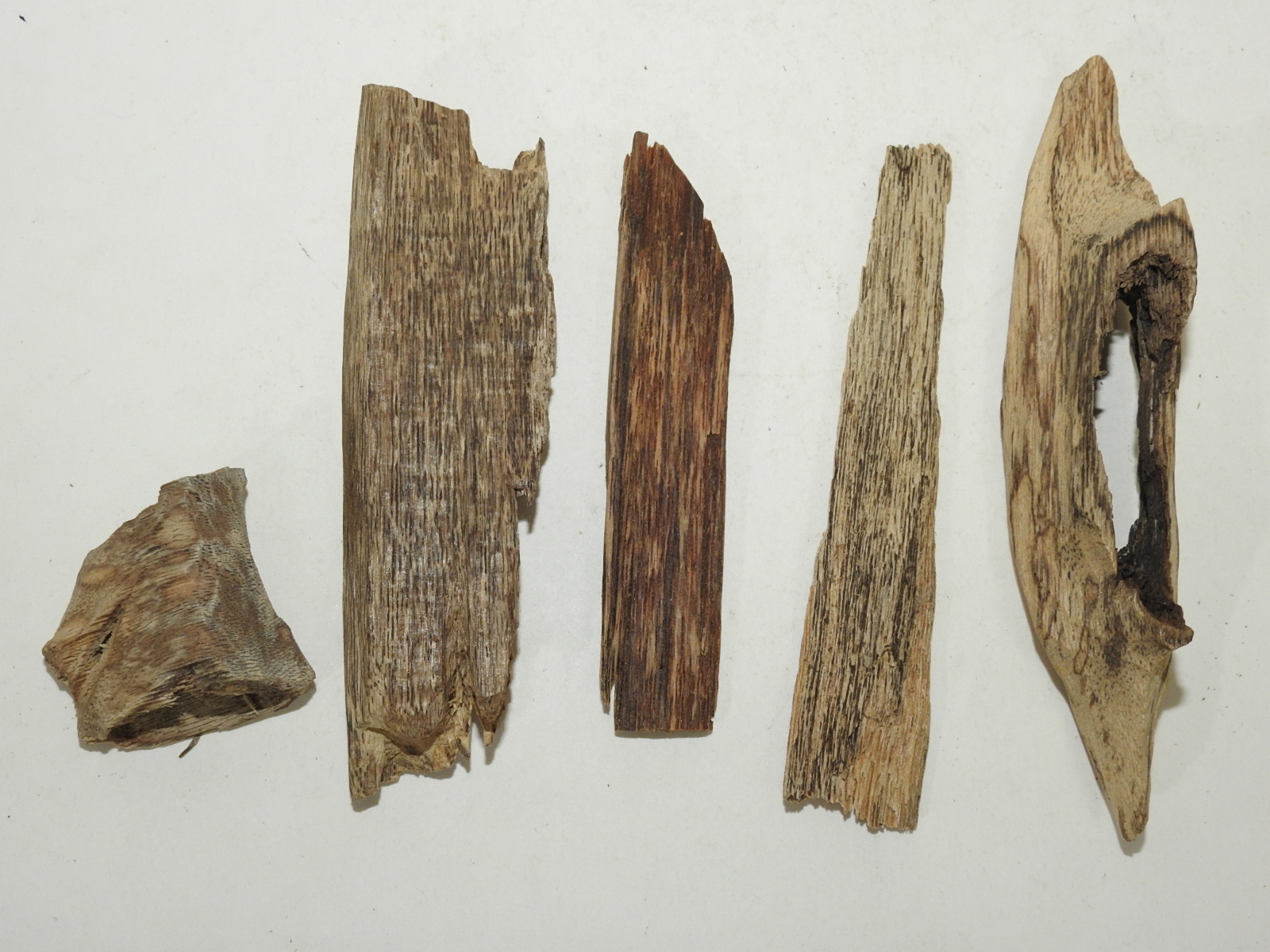 원목나무 침향(沈香) 일괄