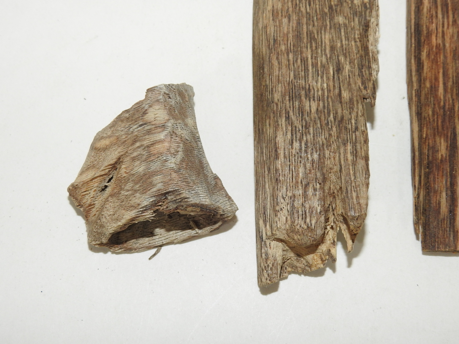 원목나무 침향(沈香) 일괄