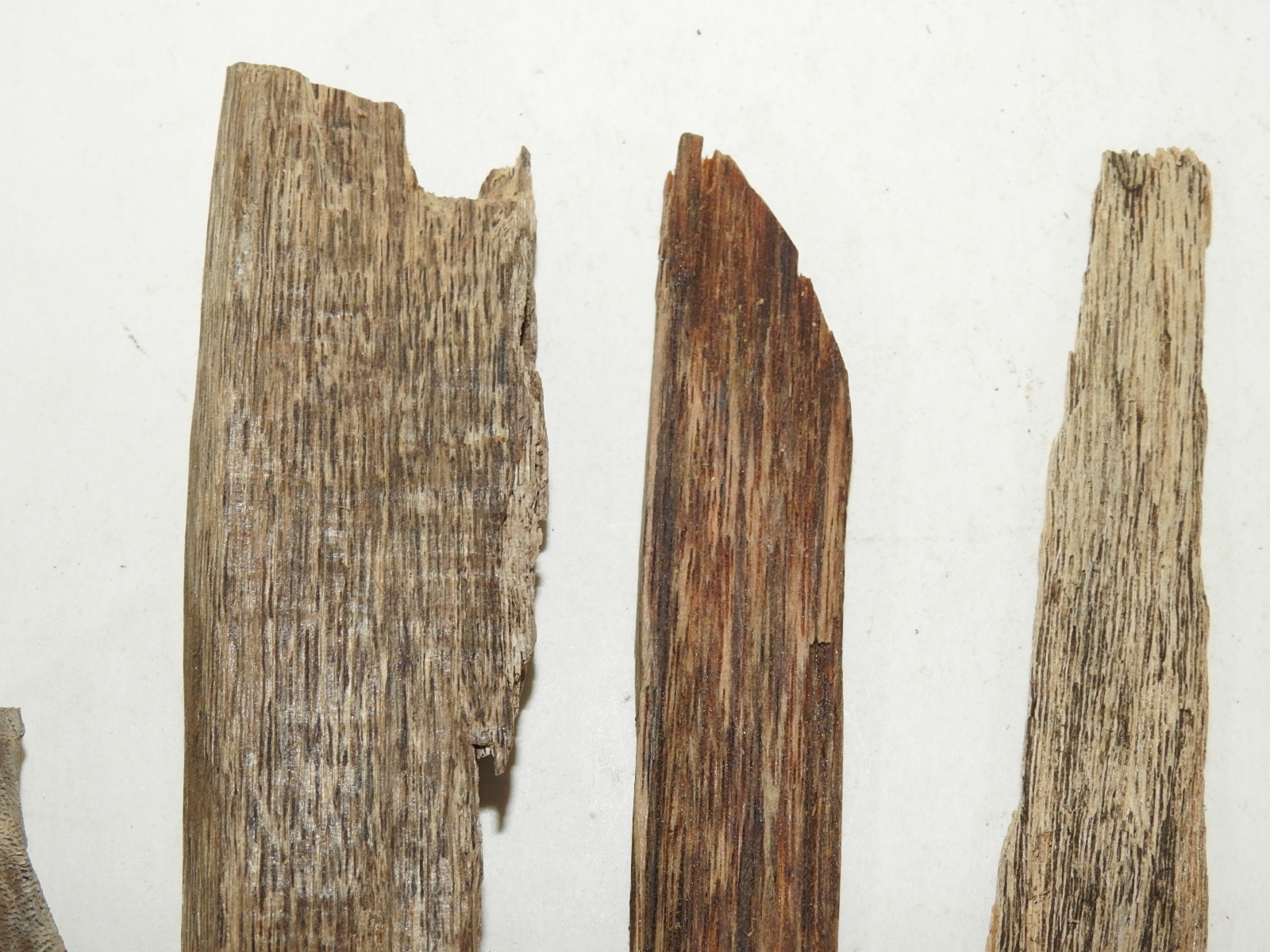 원목나무 침향(沈香) 일괄