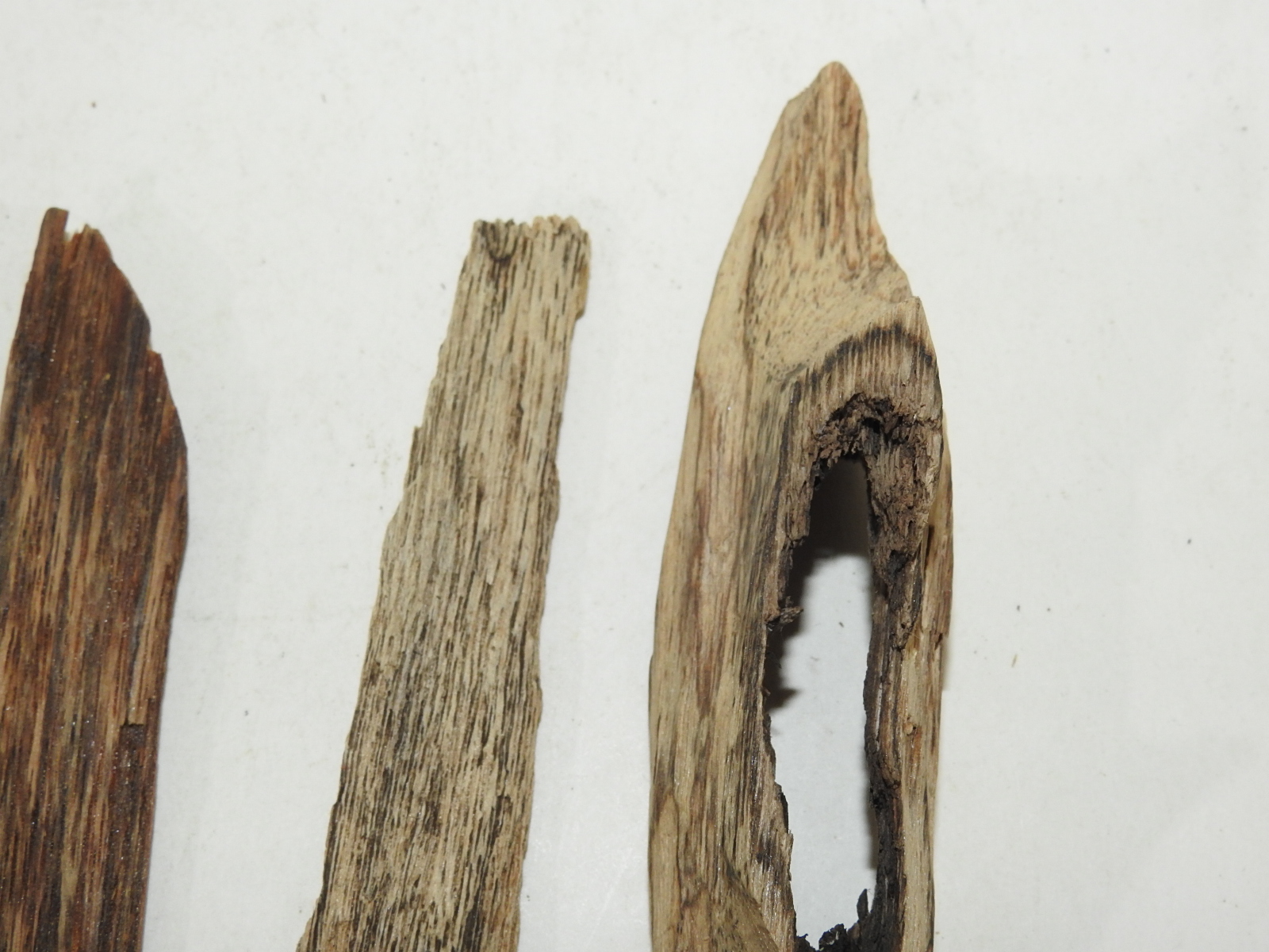 원목나무 침향(沈香) 일괄