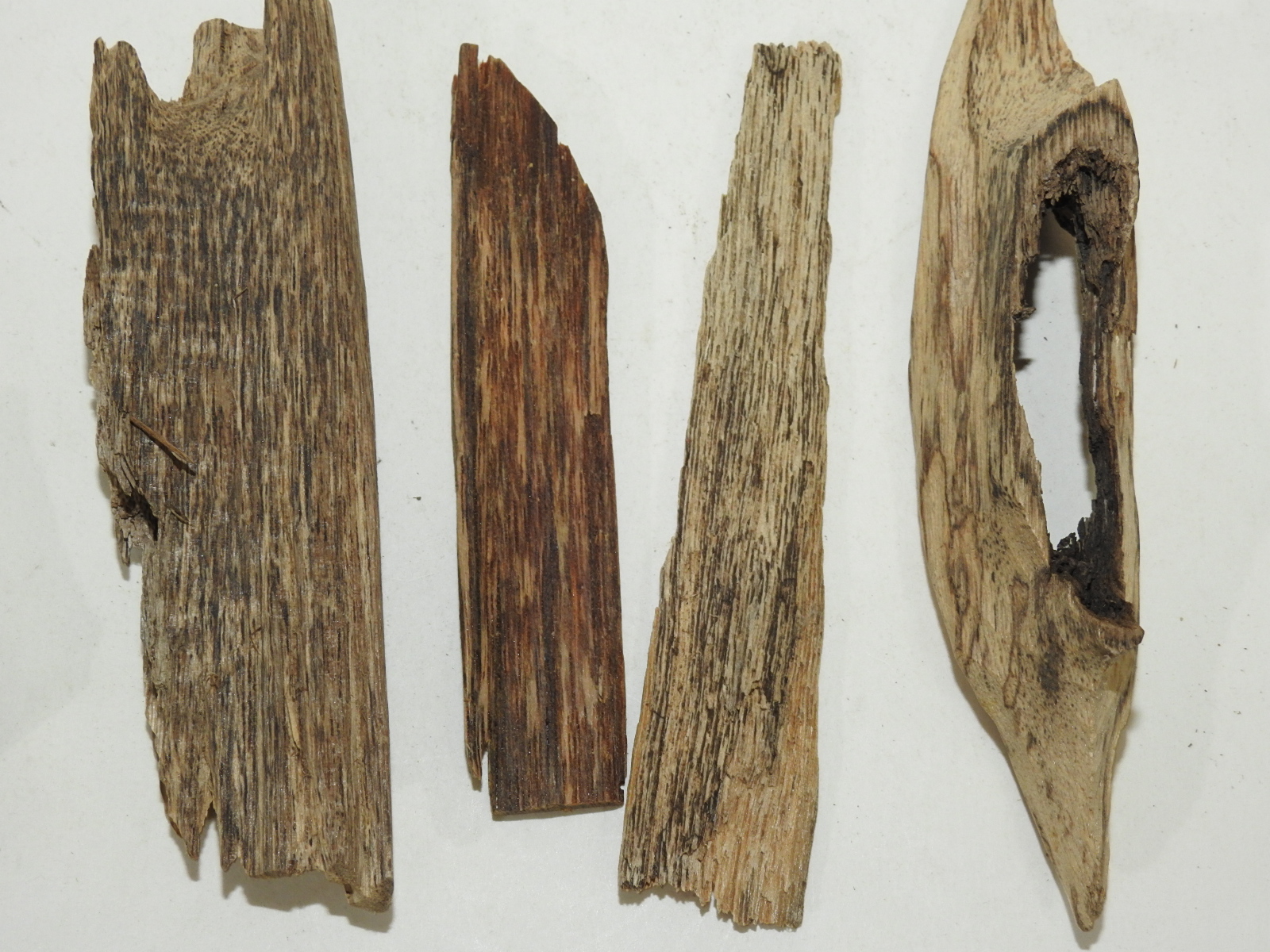 원목나무 침향(沈香) 일괄