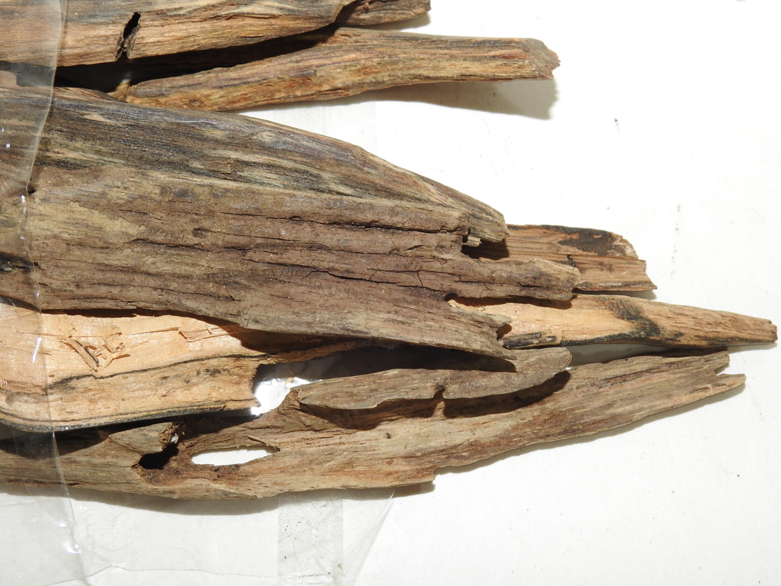 원목나무 침향(沈香) 일괄