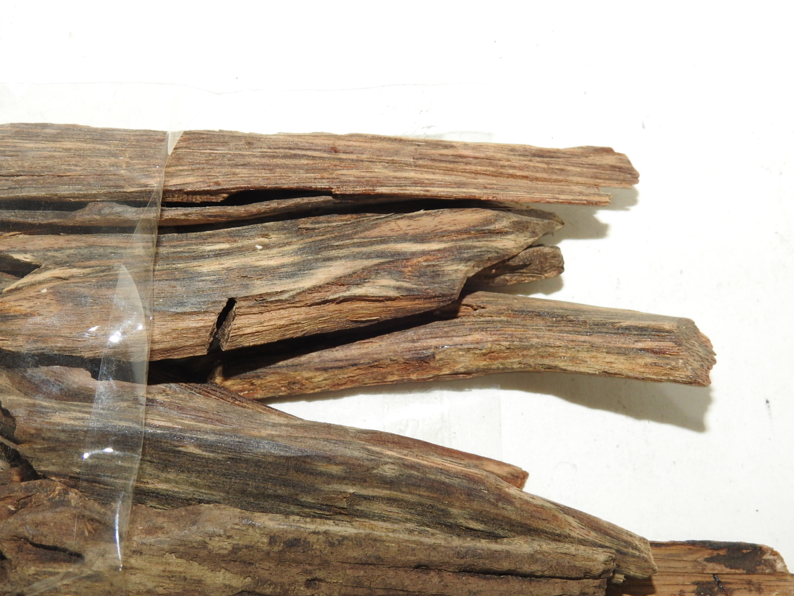 원목나무 침향(沈香) 일괄