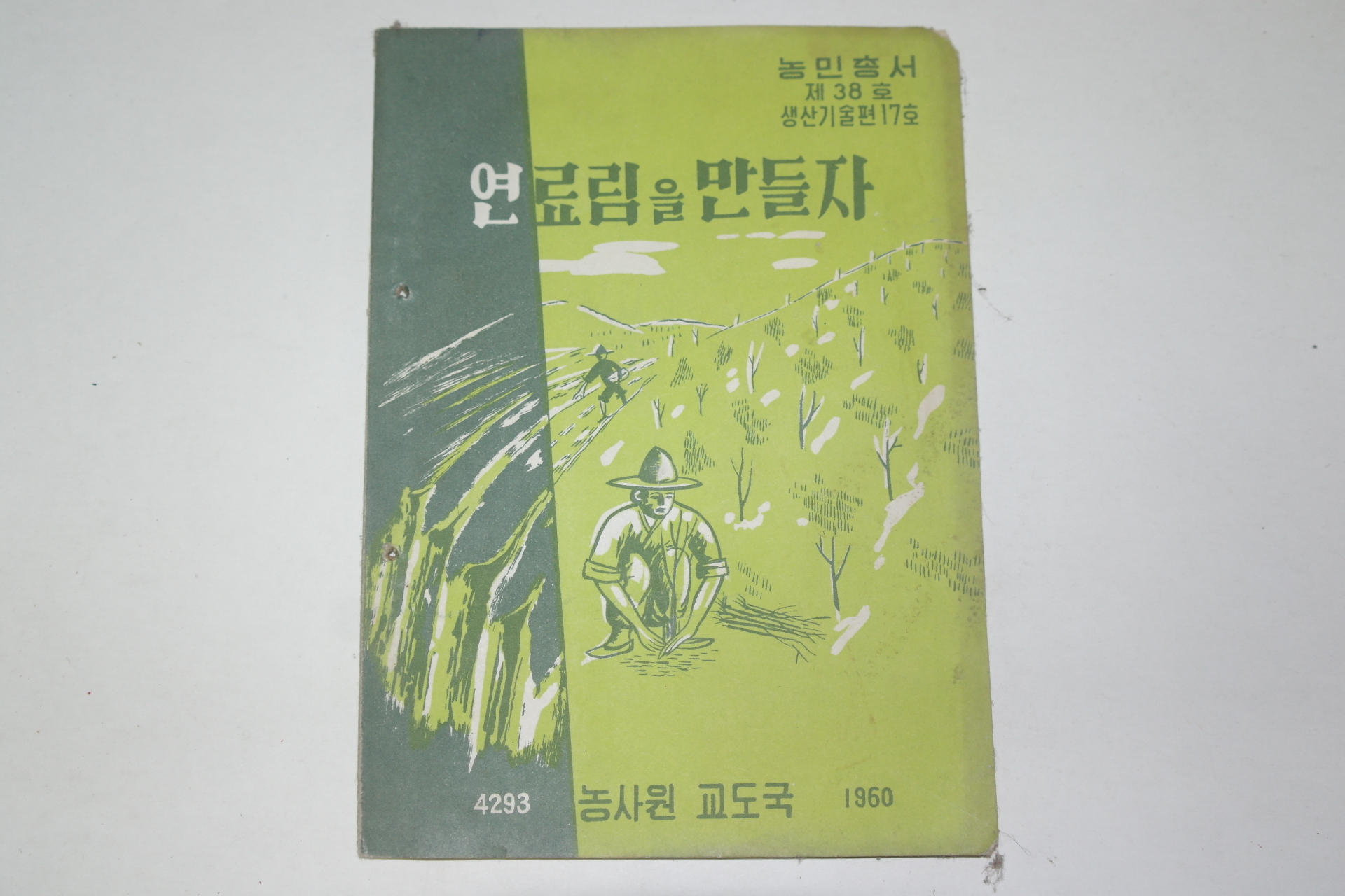 1960년 농사원교도국 연료림을 만들자