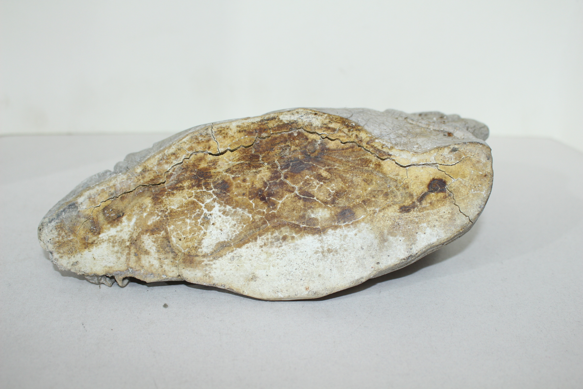 해태용 도인 조각상