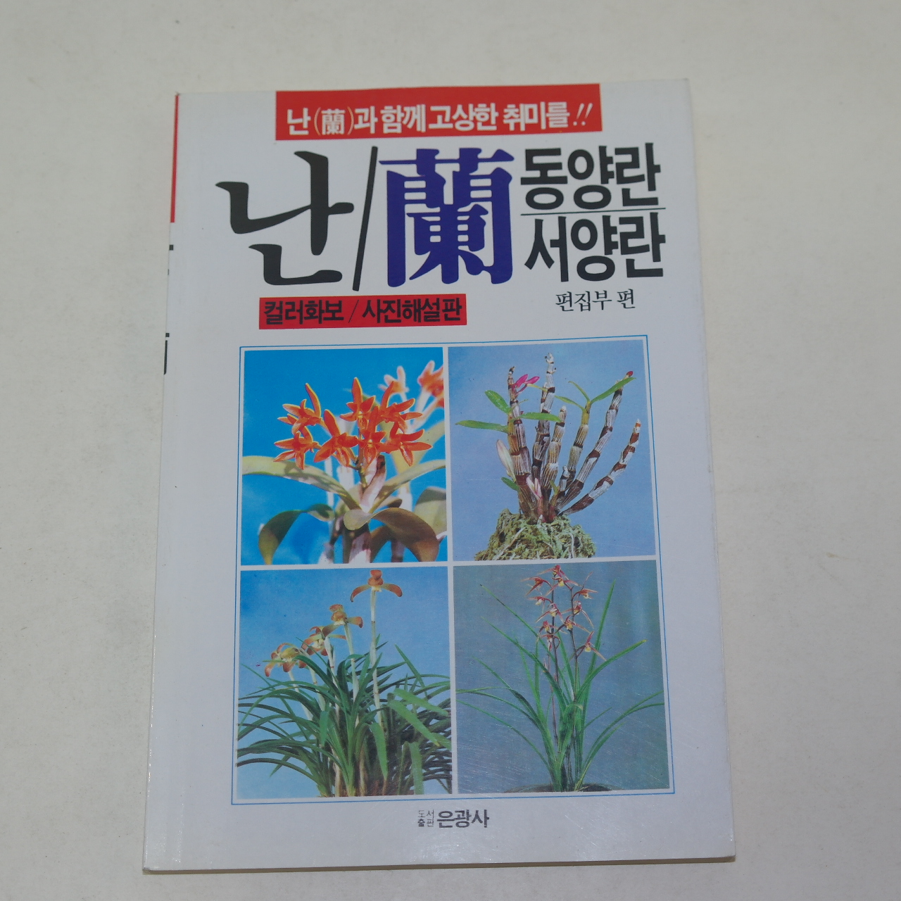 1994년 난(蘭) 동양란,서양란