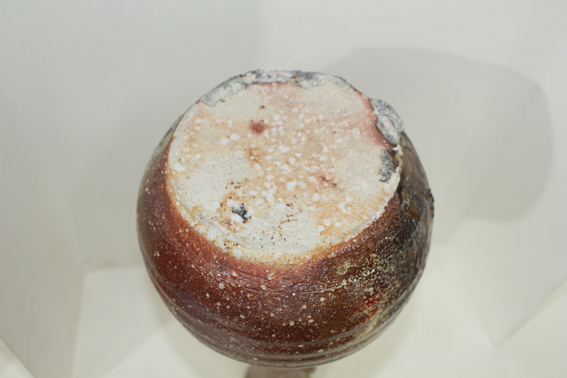 대형크기의 시가라끼청자 이귀대호