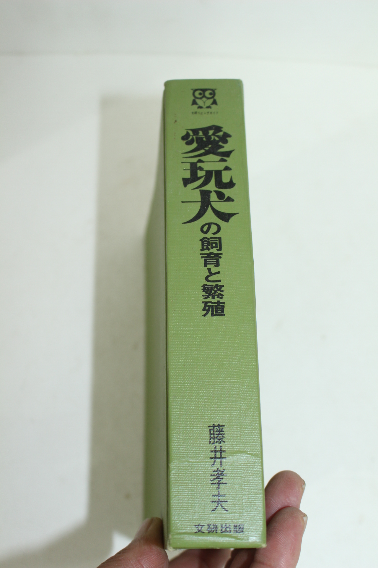 일본간행 藤井孝夫 애완견(愛玩犬)