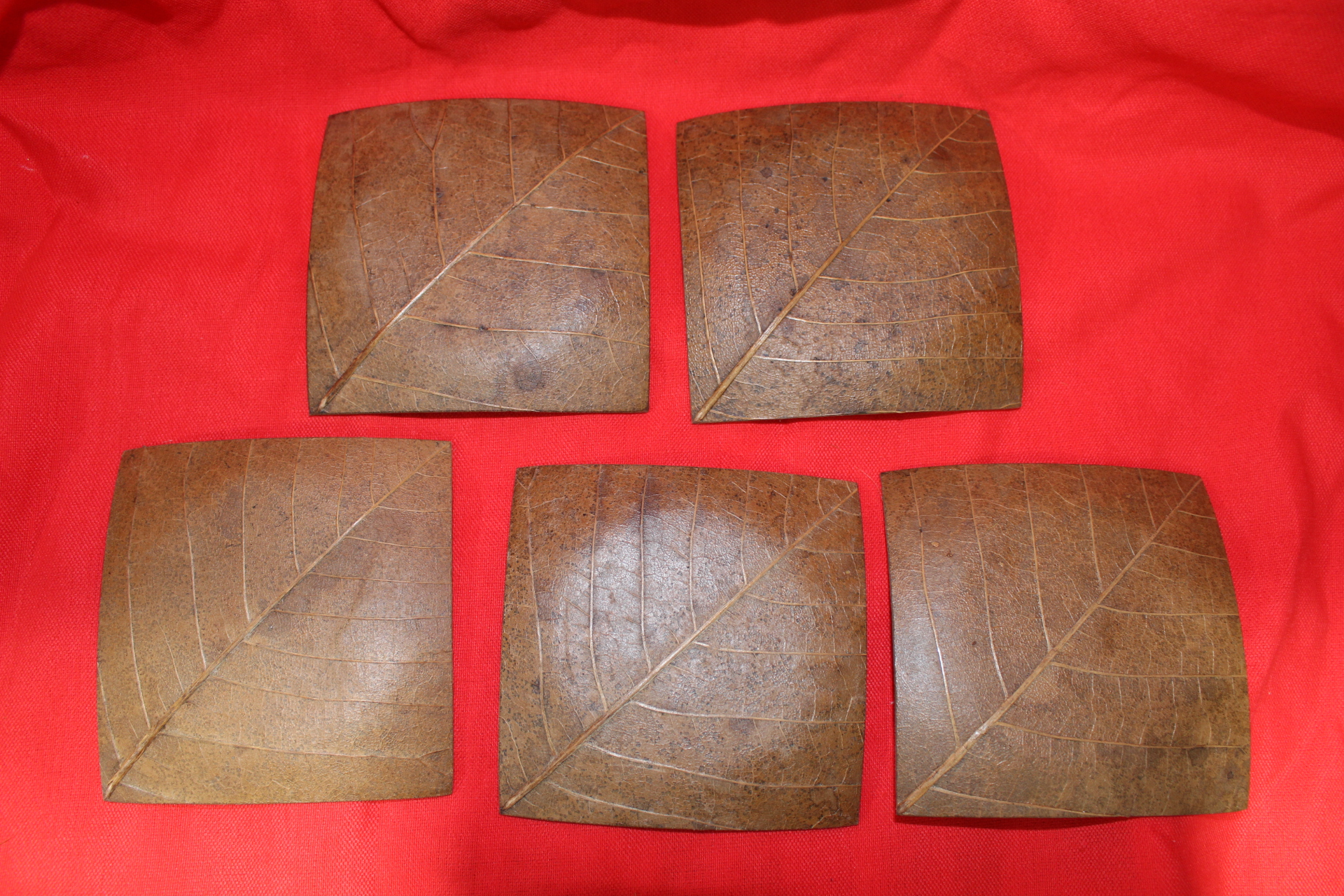 실제나뭇잎으로 만든 차반 5점셋트