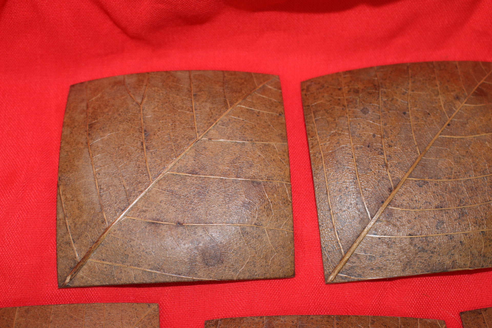 실제나뭇잎으로 만든 차반 5점셋트