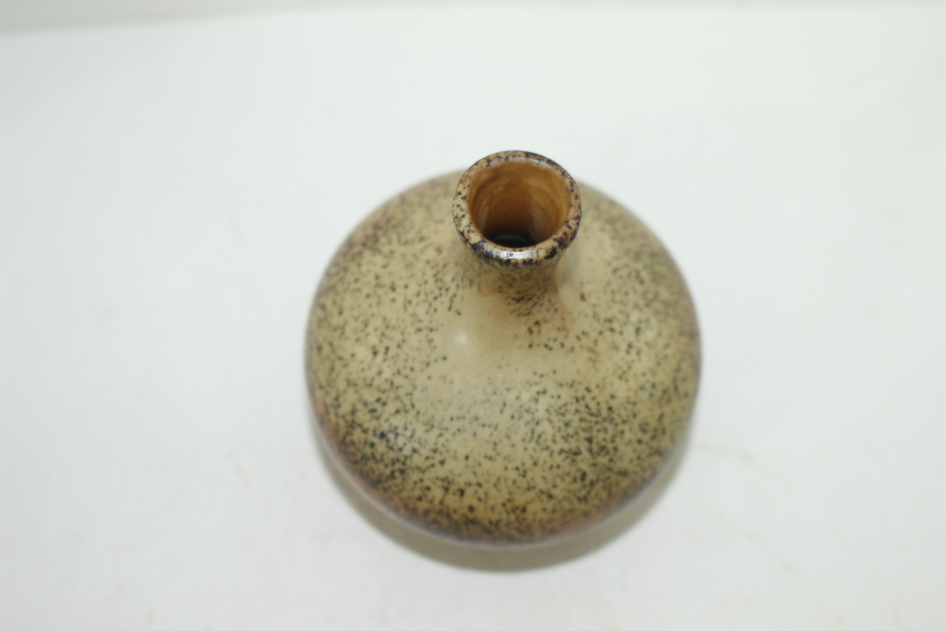 시가라끼 청자소호