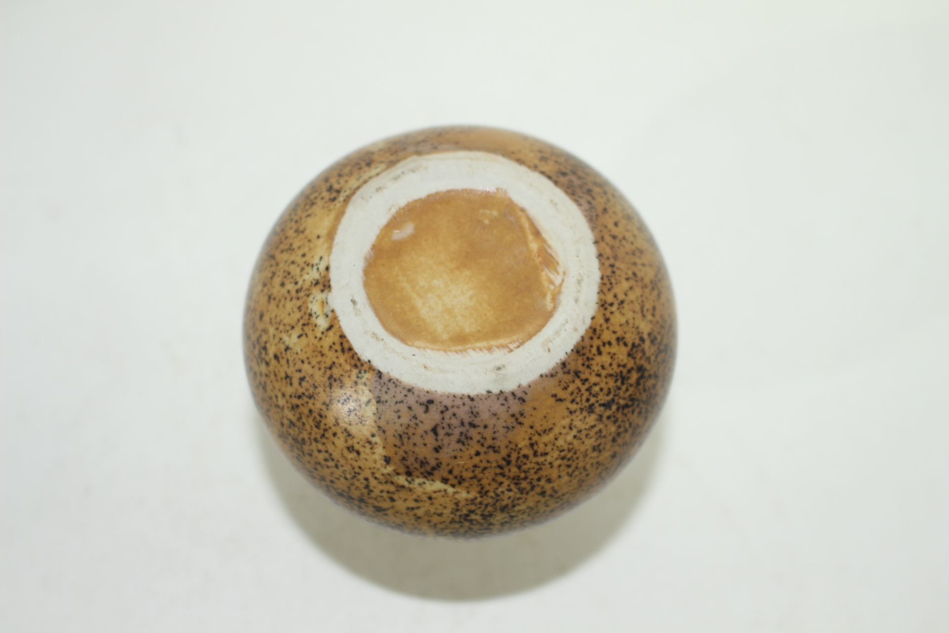 시가라끼 청자소호