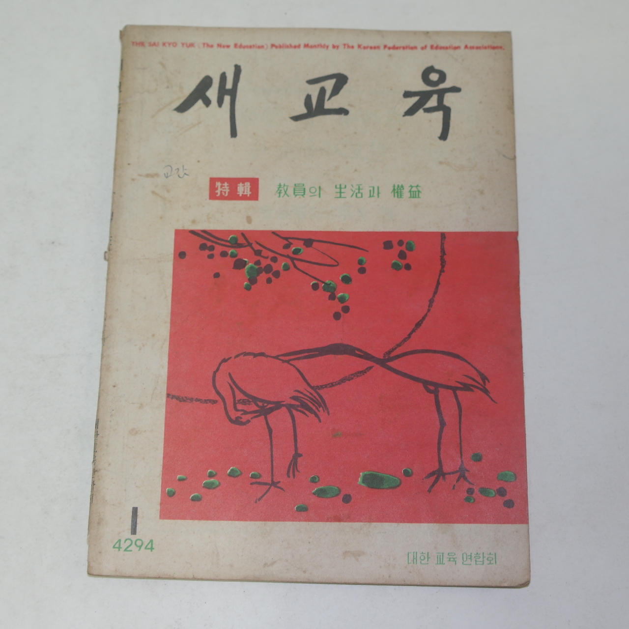 1961년 새교실 특집 1월호