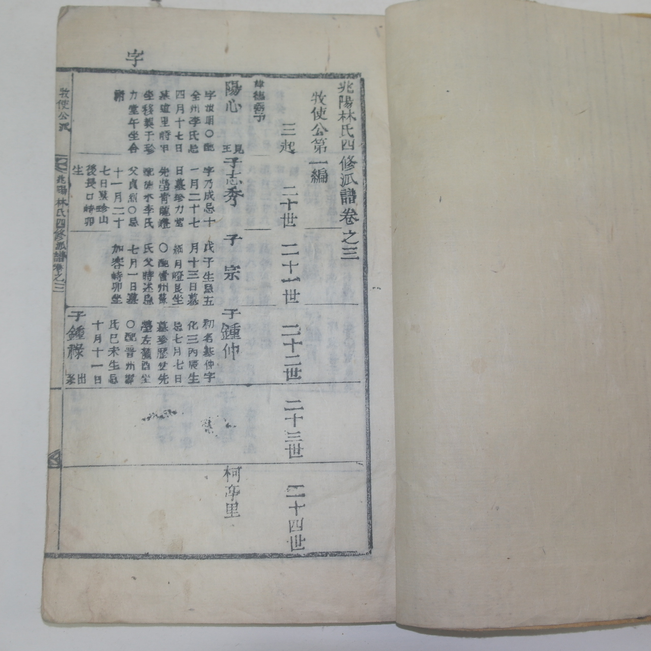 1912년 보성 목활자본 북양임씨사수파보(北陽林氏四修派譜)권3  1책