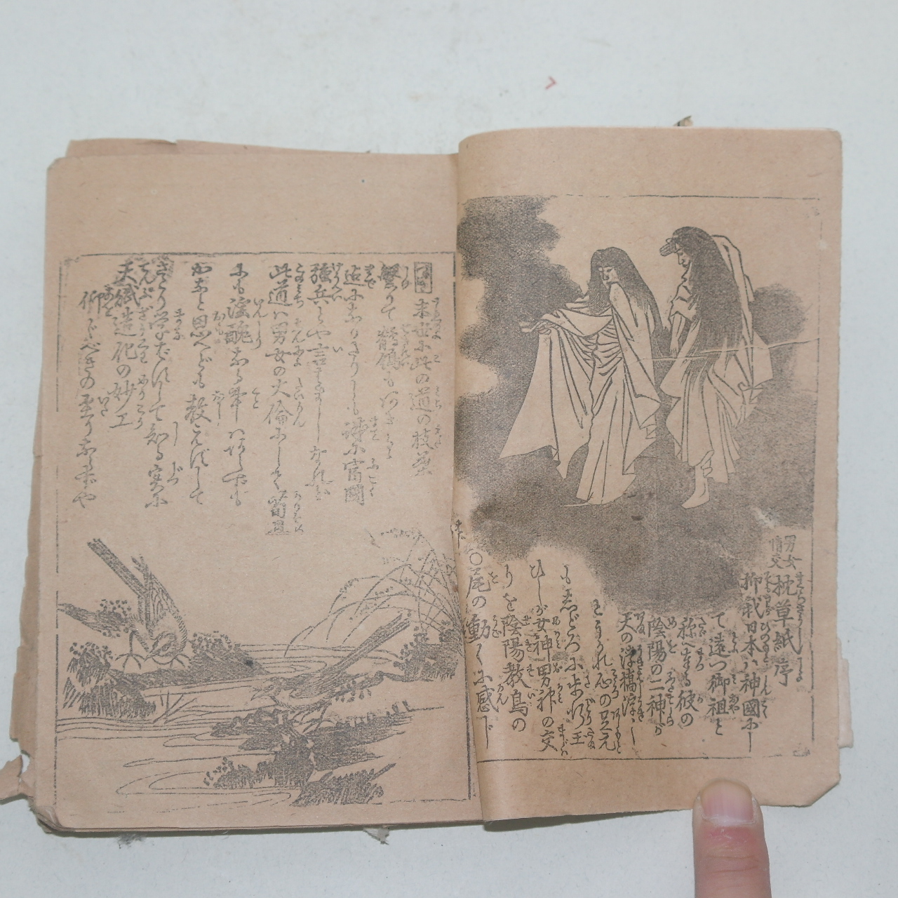 1894년(명치27년) 남여정교(男女情交) 침초지(沈草紙)