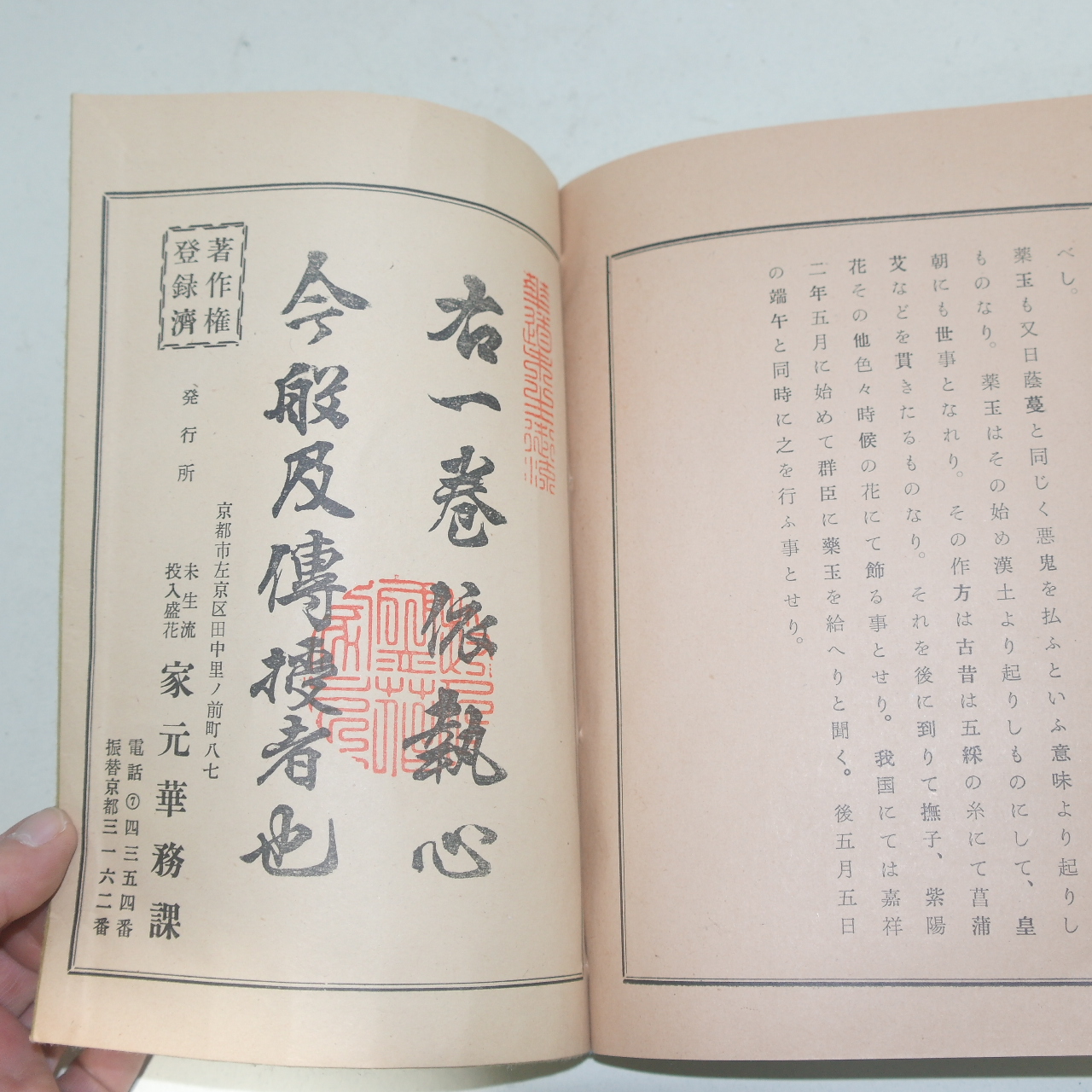 일본간행 분재관련 투입성화(投入盛花)중전(中傳) 1책완질