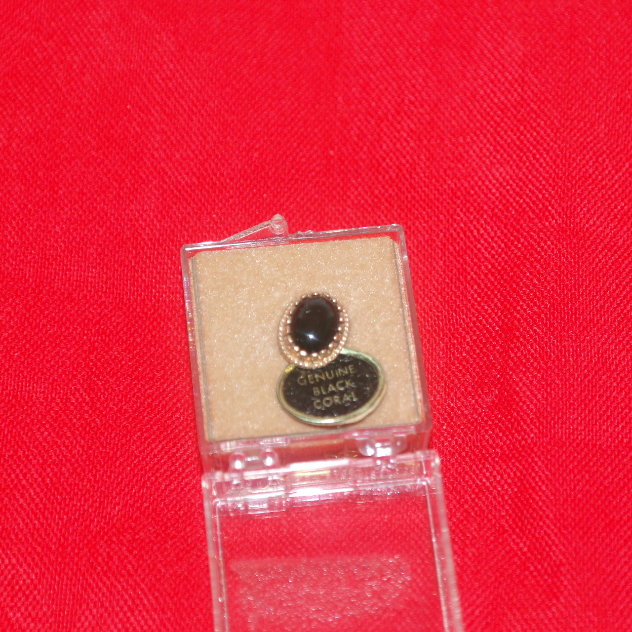 GENUINE BLACK CORAL 보석 브롯지