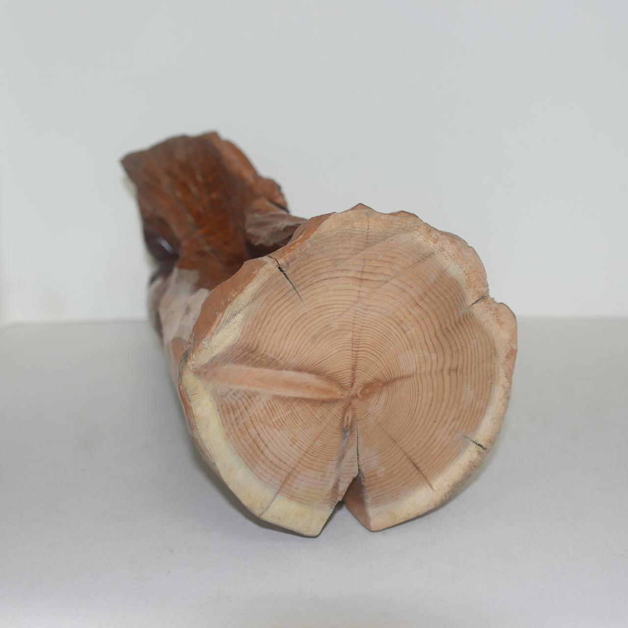 원목나무에 통으로 조각된 곰 조각상