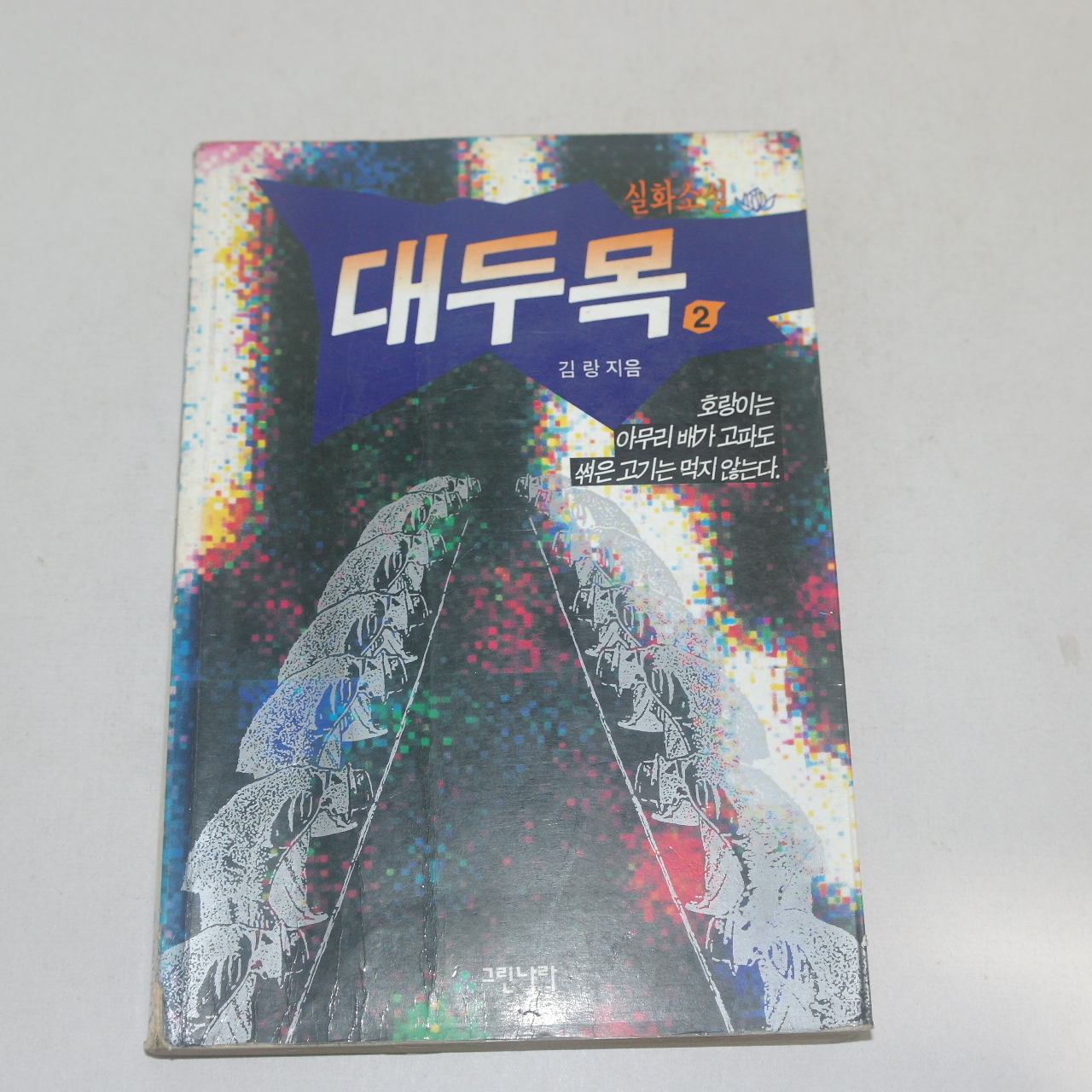 1995년 김랑실화소설 대두목 2