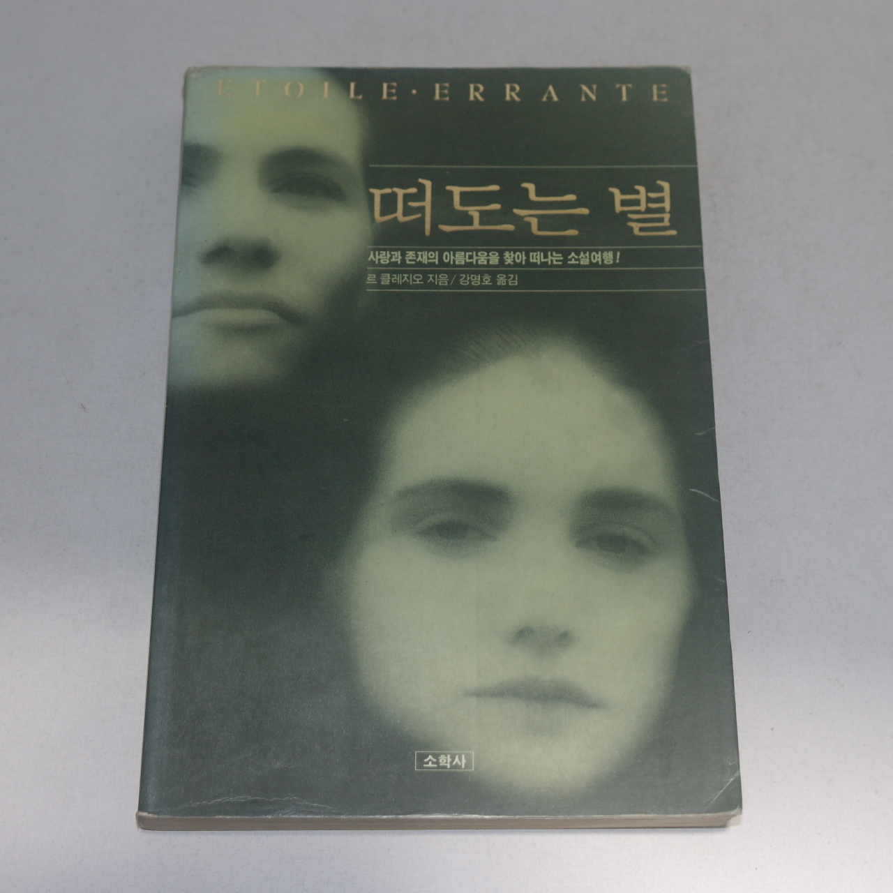 1993년 르클레지오 떠도는 별
