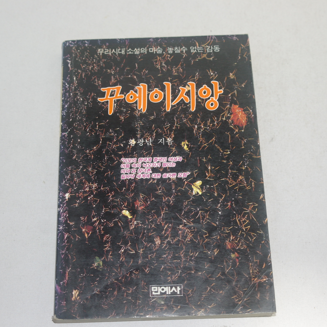 1992년 초판 황광남 꾸에이시앙