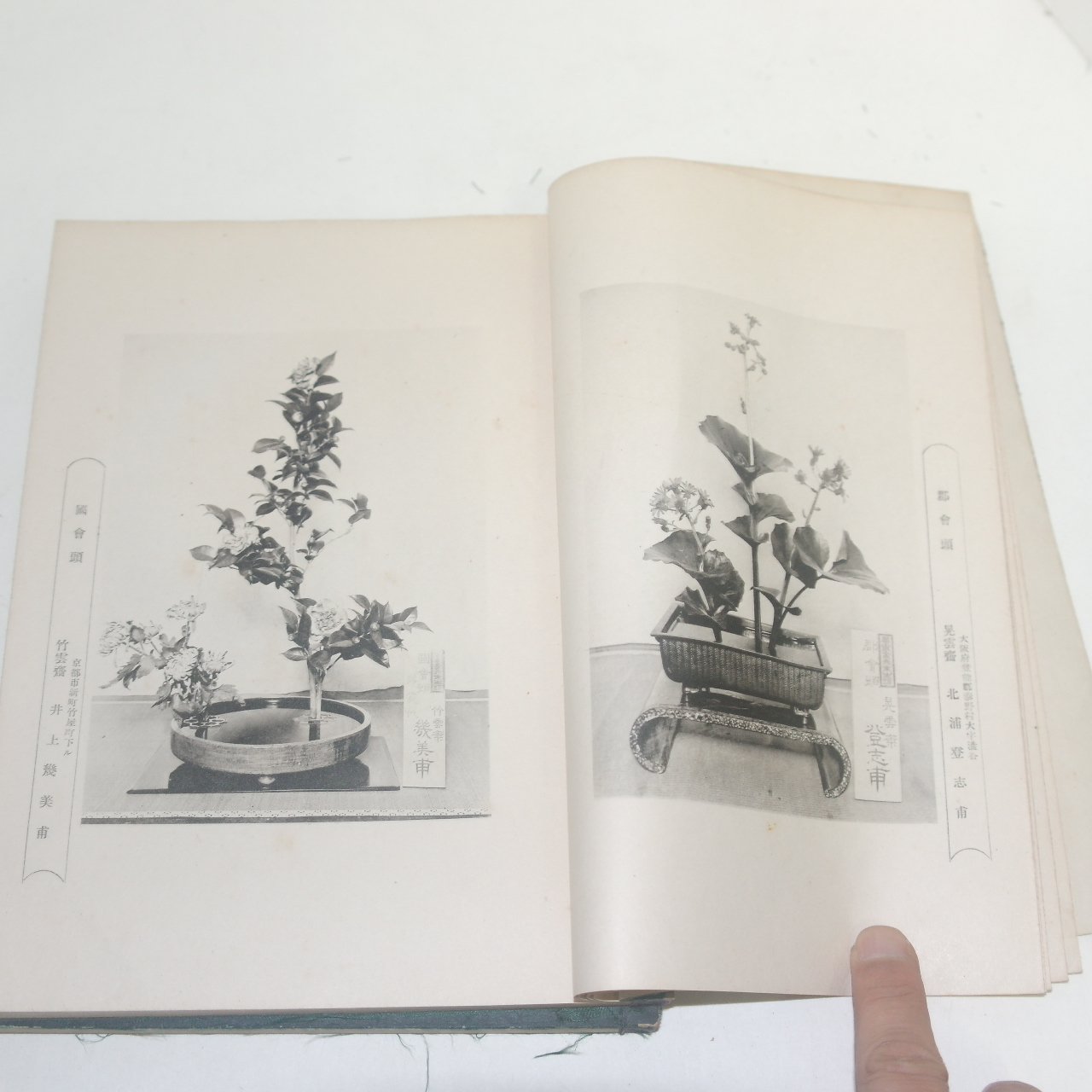 1929년(소화4년)일본간행 꽃꽂이 운정내화(雲井乃華) 2책완질