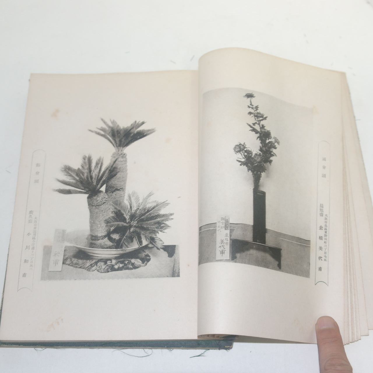 1929년(소화4년)일본간행 꽃꽂이 운정내화(雲井乃華) 2책완질
