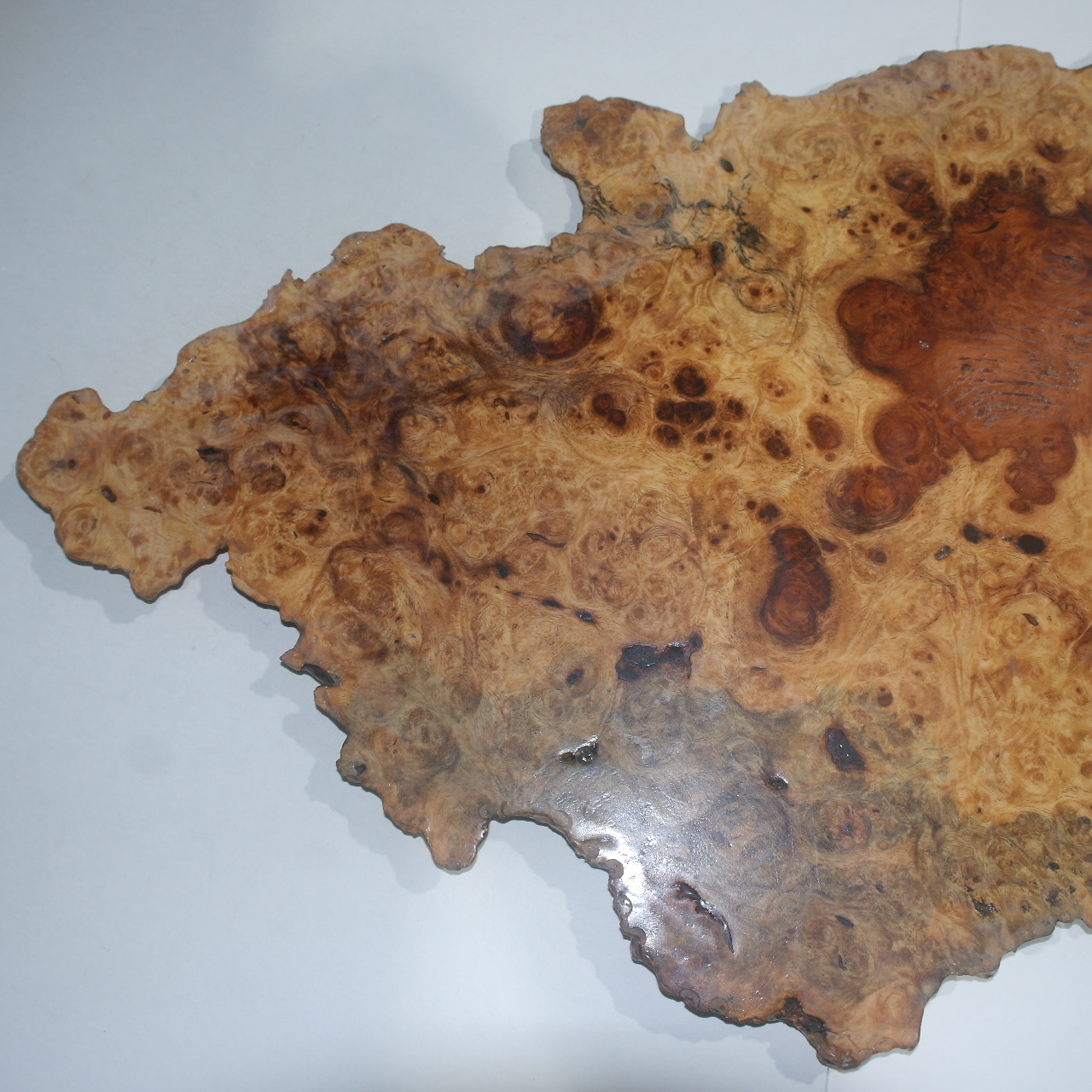 구수목(뿌리용목) 차판