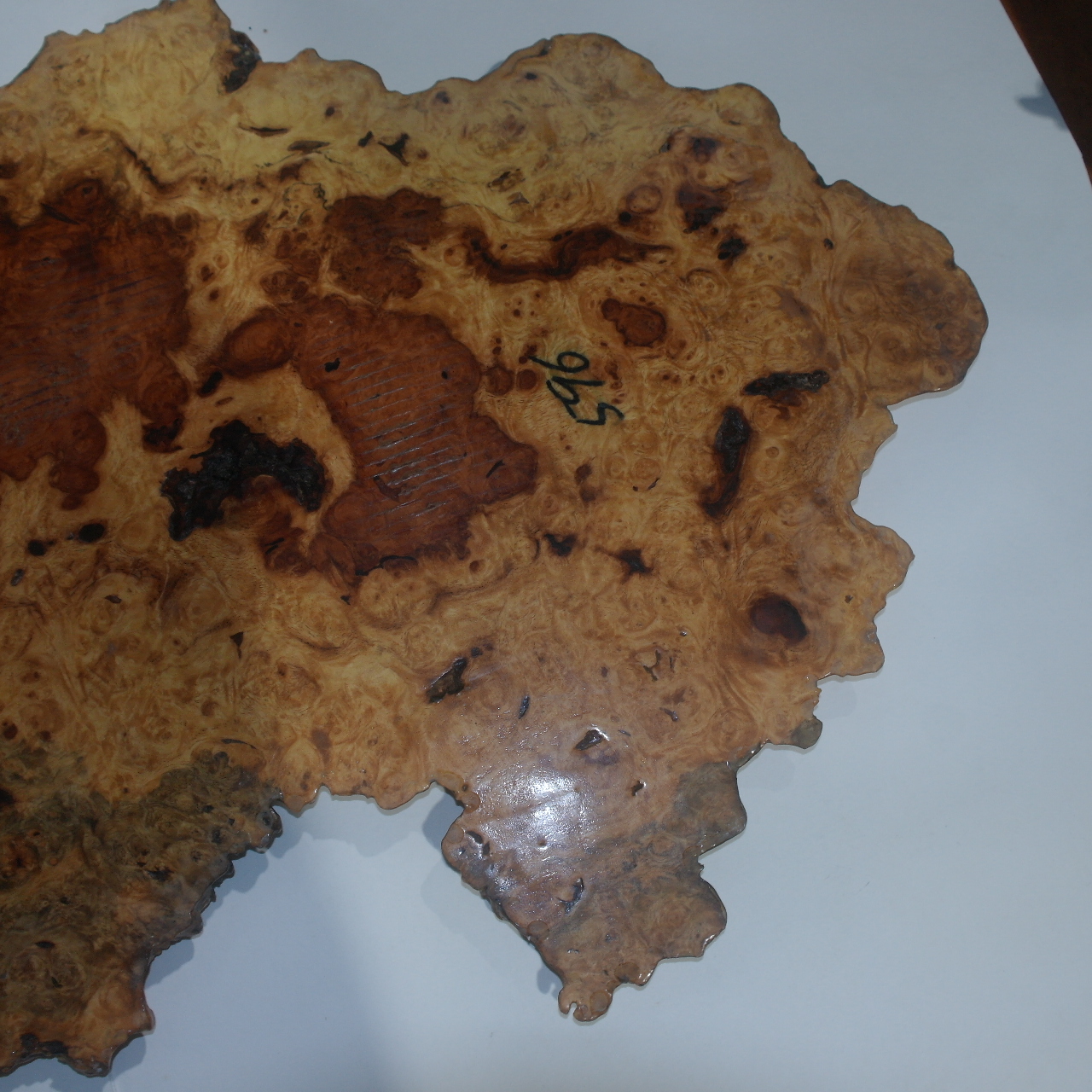 구수목(뿌리용목) 차판