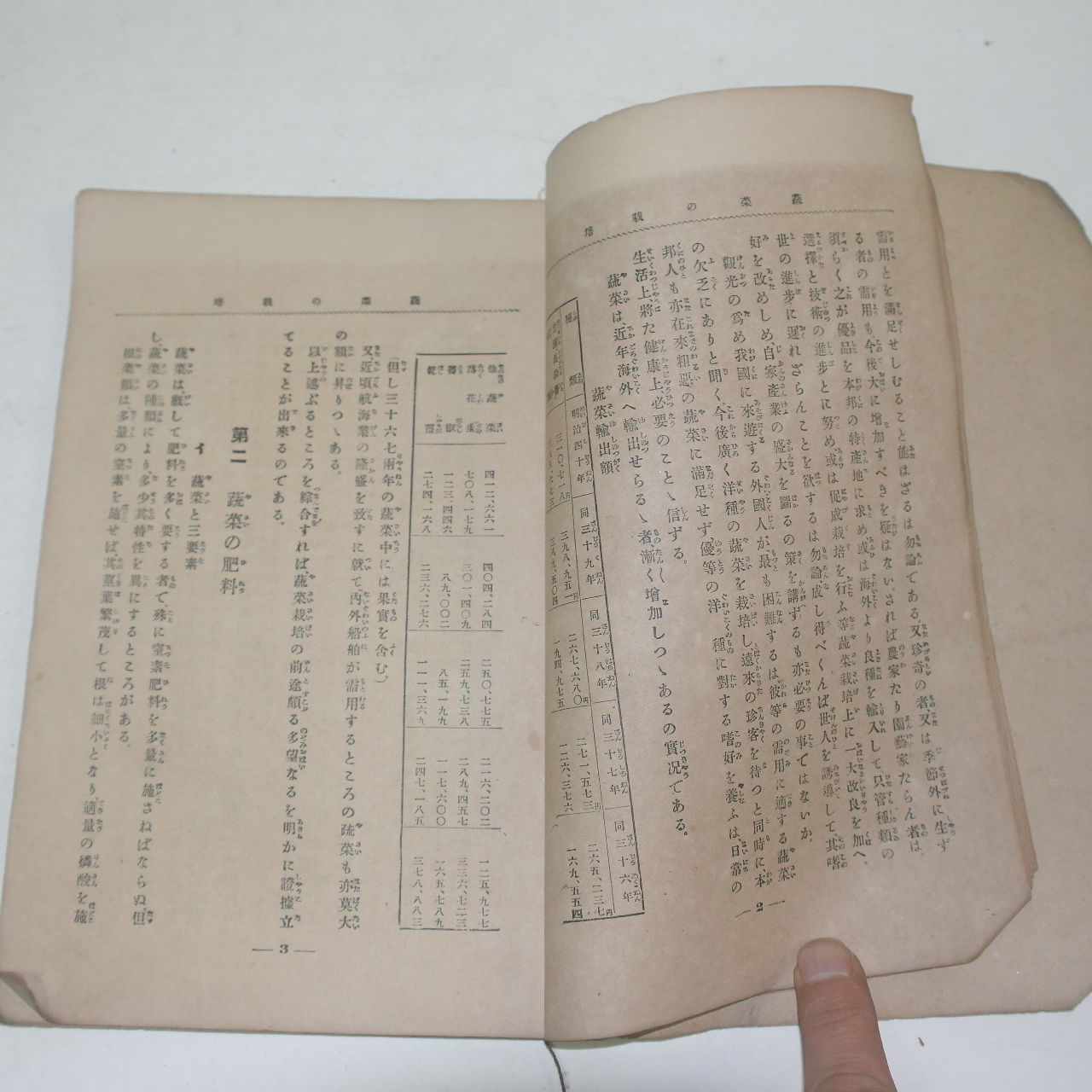 1908년(명치41년) 일본간행 채소의 재배