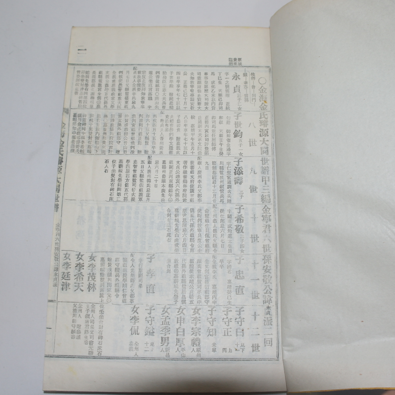 연활자본 김해김씨선원대동세보(金海金氏璿源大同世譜) 5책