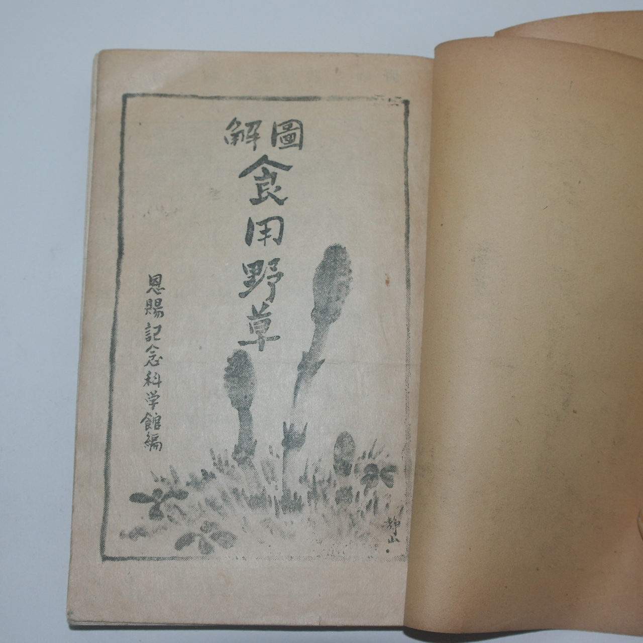 1944년(소화19년) 조선도서간행 도해 식용야초(食用野草)