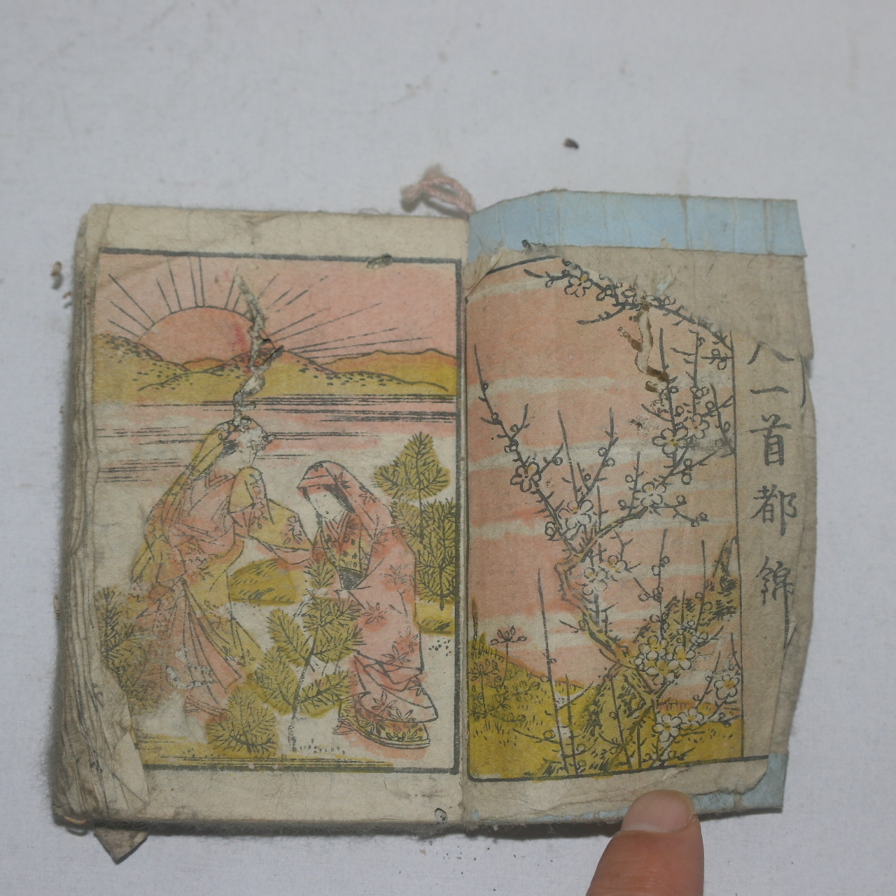 1813년(文化11年) 일본목판본 그림이 많은 수진본1책완질