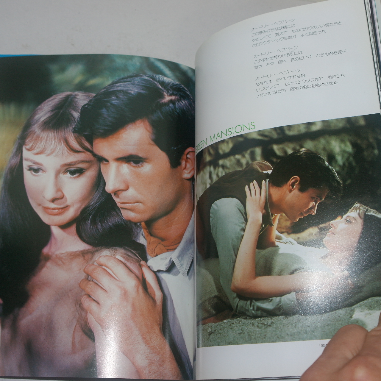1993년 오드리햅번(Audrey Hepburn) 칼라화보집 결정판 1책