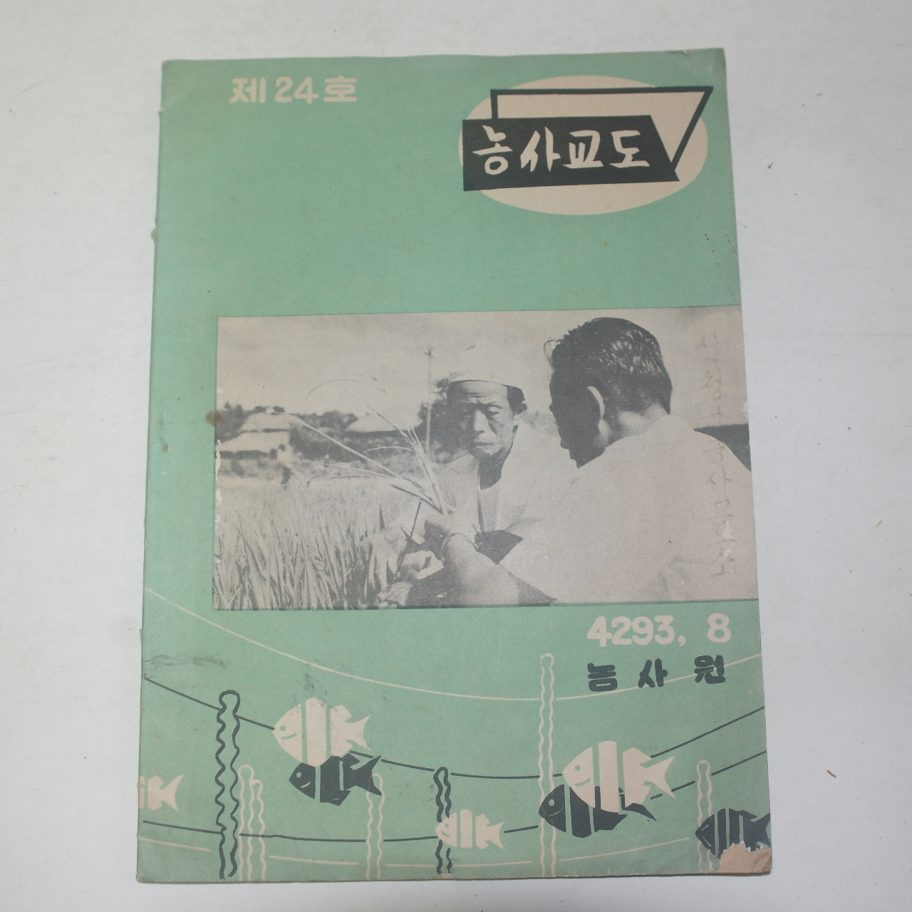 1960년(단기4293년) 농사교도 제24호