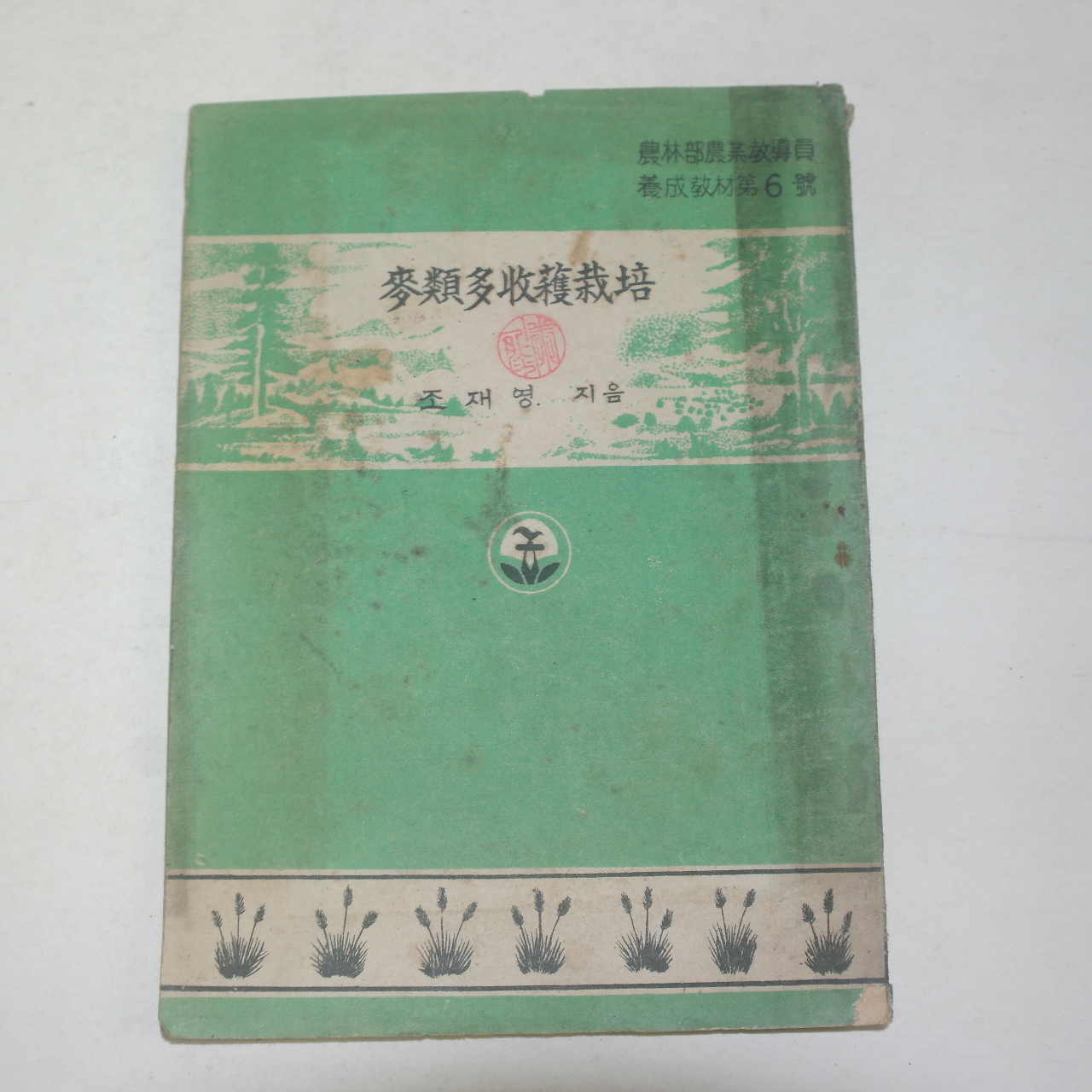 1954년 조재영 맥류다수확재배