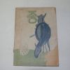 1954년 부산사범학교 종 제5호