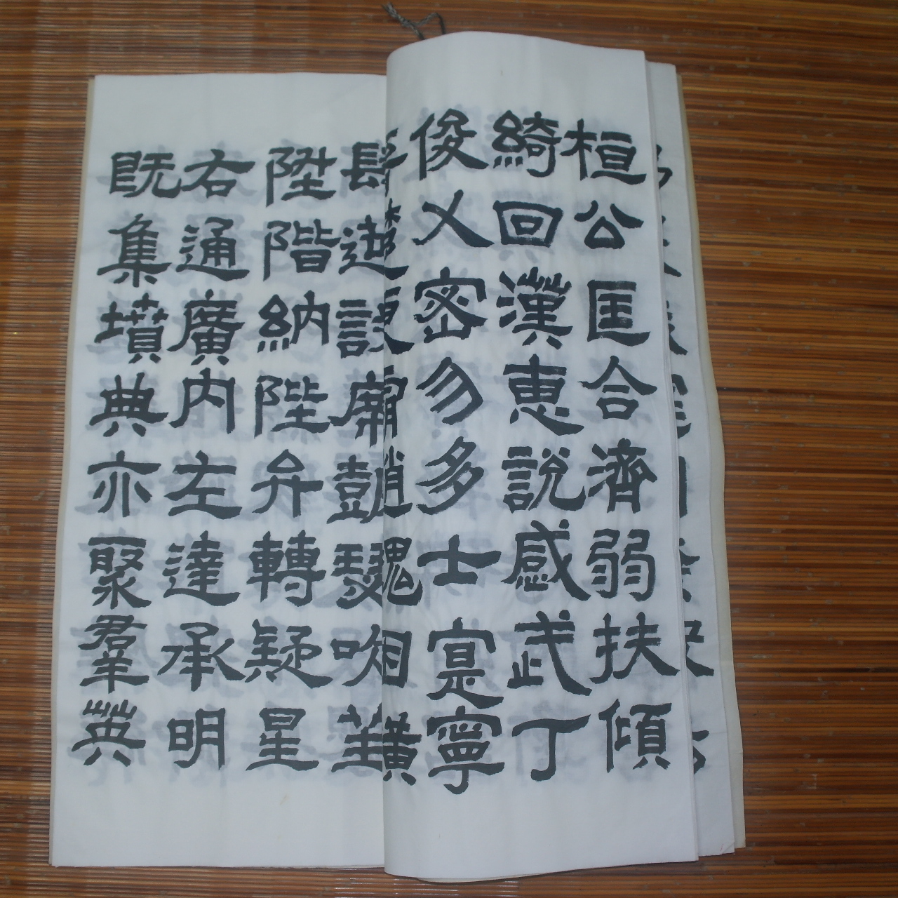 대형크기의 책자 허명숙 작 천자문(千字文)
