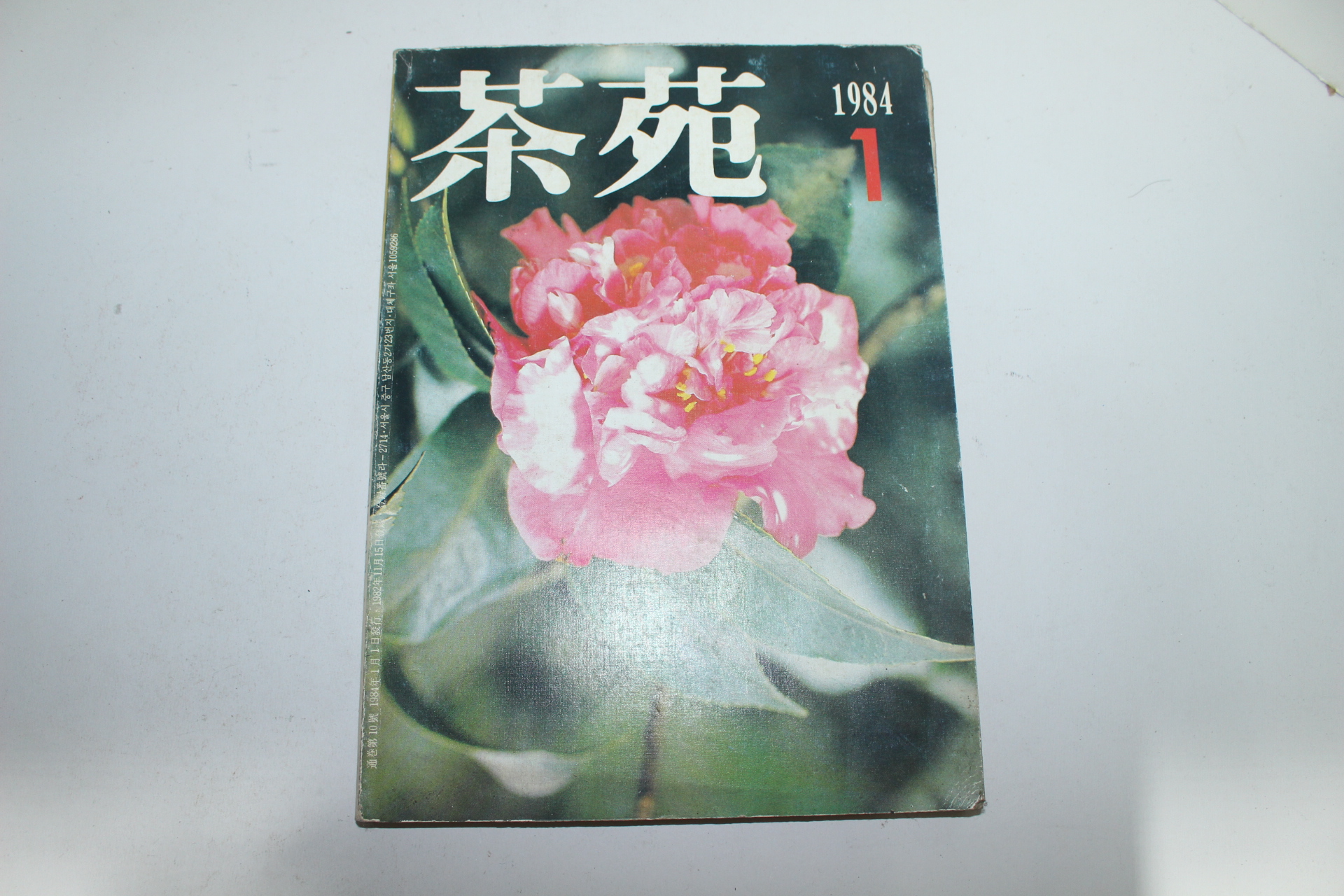 1984년 여원 1월호